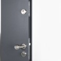 VidaXL Drzwi wejściowe, antracytowe, 110x207,5 cm, aluminium