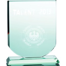 Trofeum szklane grawerowane 3D z etui