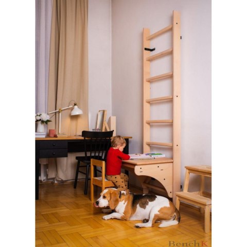 DRABINKA Z DREWNIANYM DO PODCIĄGANIA Z BIURKIEM BENCHK 112 DRABINKA Z DREWNIANYM DO PODCIĄGANIA Z BIURKIEM BENCHK 112