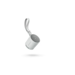 Głośnik Bluetooth Przenośny Sony SRSXB100H Szary