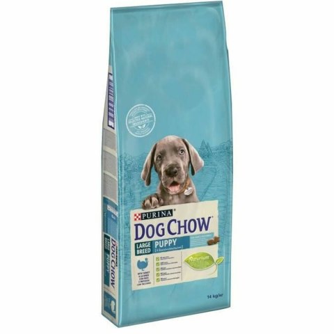 Karma Purina Dog Chow Puppy Large Szczeniak/Junior Indyk 14 Kg