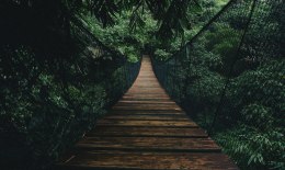 Obraz Wieloczęściowy Drewniany Most Wiszący W Lesie