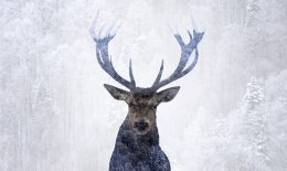 Obraz Wieloczęściowy Jeleń W Zimowym Lesie 3D