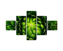 Obraz Wieloczęściowy Zielona Roślina W Skali Makro