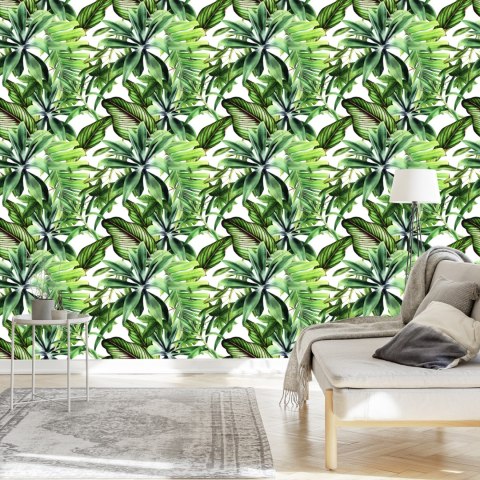 Tapeta Liście Bananowca