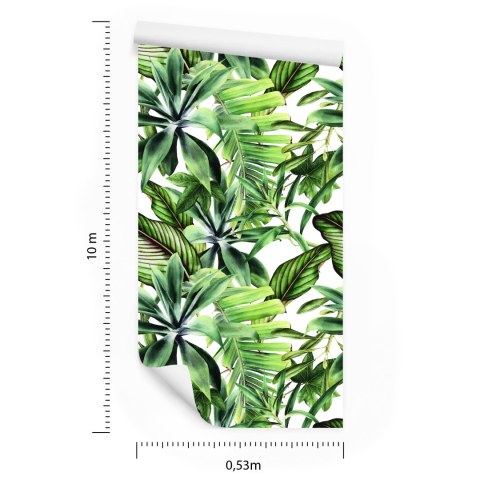 Tapeta Liście Bananowca
