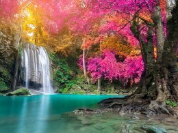 Obraz Wieloczęściowy Piękny Leśny Wodospad