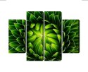 Obraz Wieloczęściowy Zielona Roślina W Skali Makro