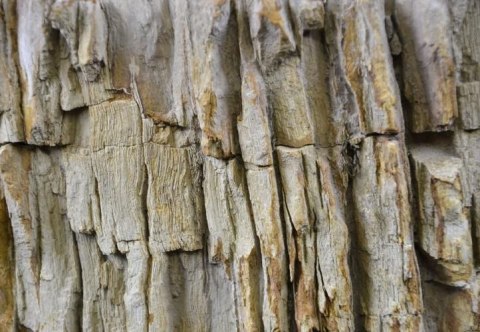 DIVERO Umywalka nablatowa z naturalnego kamienia Fossil DIVERO Umywalka nablatowa z naturalnego kamienia Fossil