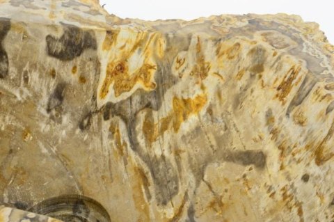 DIVERO Umywalka nablatowa z naturalnego kamienia Fossil DIVERO Umywalka nablatowa z naturalnego kamienia Fossil