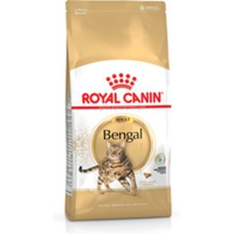 Karma dla kota Royal Canin Bengal Adult Dorosły Warzywo Ptaki 10 kg