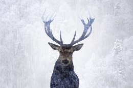 Obraz Wieloczęściowy Jeleń W Zimowym Lesie 3D