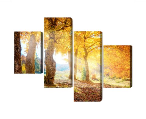 Obraz Wieloczęściowy Słoneczny Jesienny Las