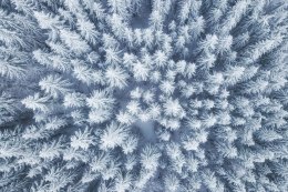 Obraz Wieloczęściowy Widok Z Lotu Ptaka Na Zimowy Las
