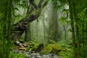 Obraz Wieloczęściowy Zieleń Lasu Deszczowego