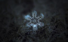 Obraz Wieloczęściowy Płatek Śniegu W Makroskali 3D