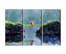 Obraz Wieloczęściowy Ślimak W Deszczu