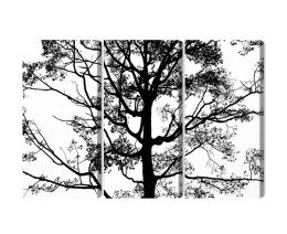 Obraz Wieloczęściowy Czarne Drzewo Na Białym Tle