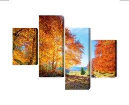 Obraz Wieloczęściowy Kolorowe Jesienne Drzewa