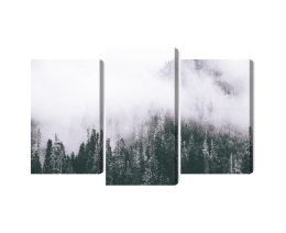 Obraz Wieloczęściowy Las Spowity Mgłą