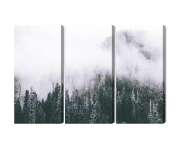 Obraz Wieloczęściowy Las Spowity Mgłą