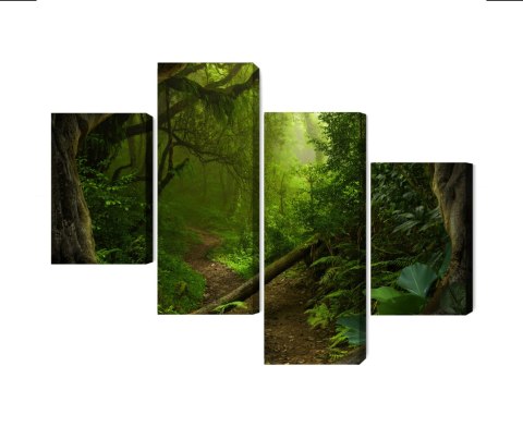 Obraz Wieloczęściowy Ścieżka W Tropikalnym Lesie