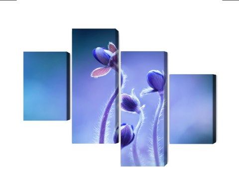 Obraz Wieloczęściowy Delikatne Kwiaty W Skali Makro