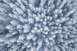 Obraz Wieloczęściowy Widok Z Lotu Ptaka Na Zimowy Las