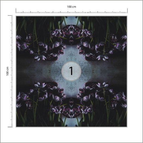 Fototapeta Kwadratowa Czarny Tulipan