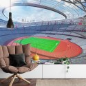 Fototapeta Stadion Piłka Nożna