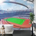 Fototapeta Stadion Piłka Nożna