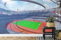 Fototapeta Stadion Piłka Nożna