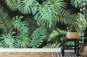 Fototapeta Liście Monstera