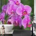 Fototapeta Kwiaty Orchidei 3D