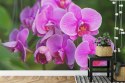 Fototapeta Kwiaty Orchidei 3D