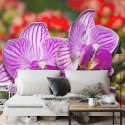 Fototapeta Optyczna Orchidea 3D