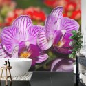 Fototapeta Optyczna Orchidea 3D