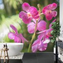 Fototapeta Piękne Orchidee