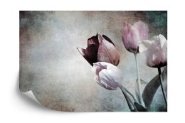 Fototapeta Tulipany W Stylu Vintage