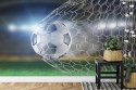 Fototapeta Piłka Nożna Gol 3D