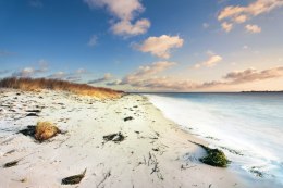 Fototapeta Plaża Morze Wydmy