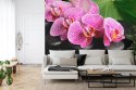 Fototapeta Orchidea Spa