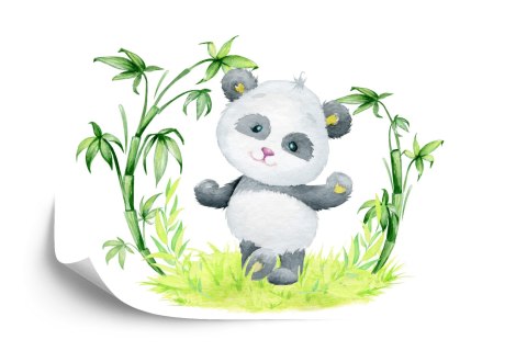 Fototapeta Panda I Bambus