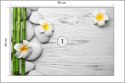 Fototapeta Bambusy Z Kwiatami I Kamieniami