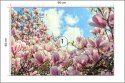 Fototapeta Kolorowa Kwitnąca Magnolia