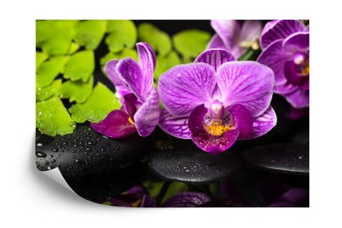 Fototapeta Orchidea Spa