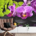 Fototapeta Orchidea Spa