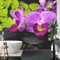 Fototapeta Orchidea Spa