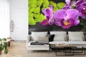 Fototapeta Orchidea Spa