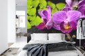 Fototapeta Orchidea Spa